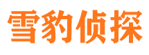 青海市侦探公司